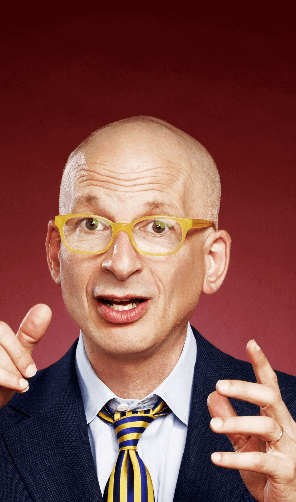 Seth Godin